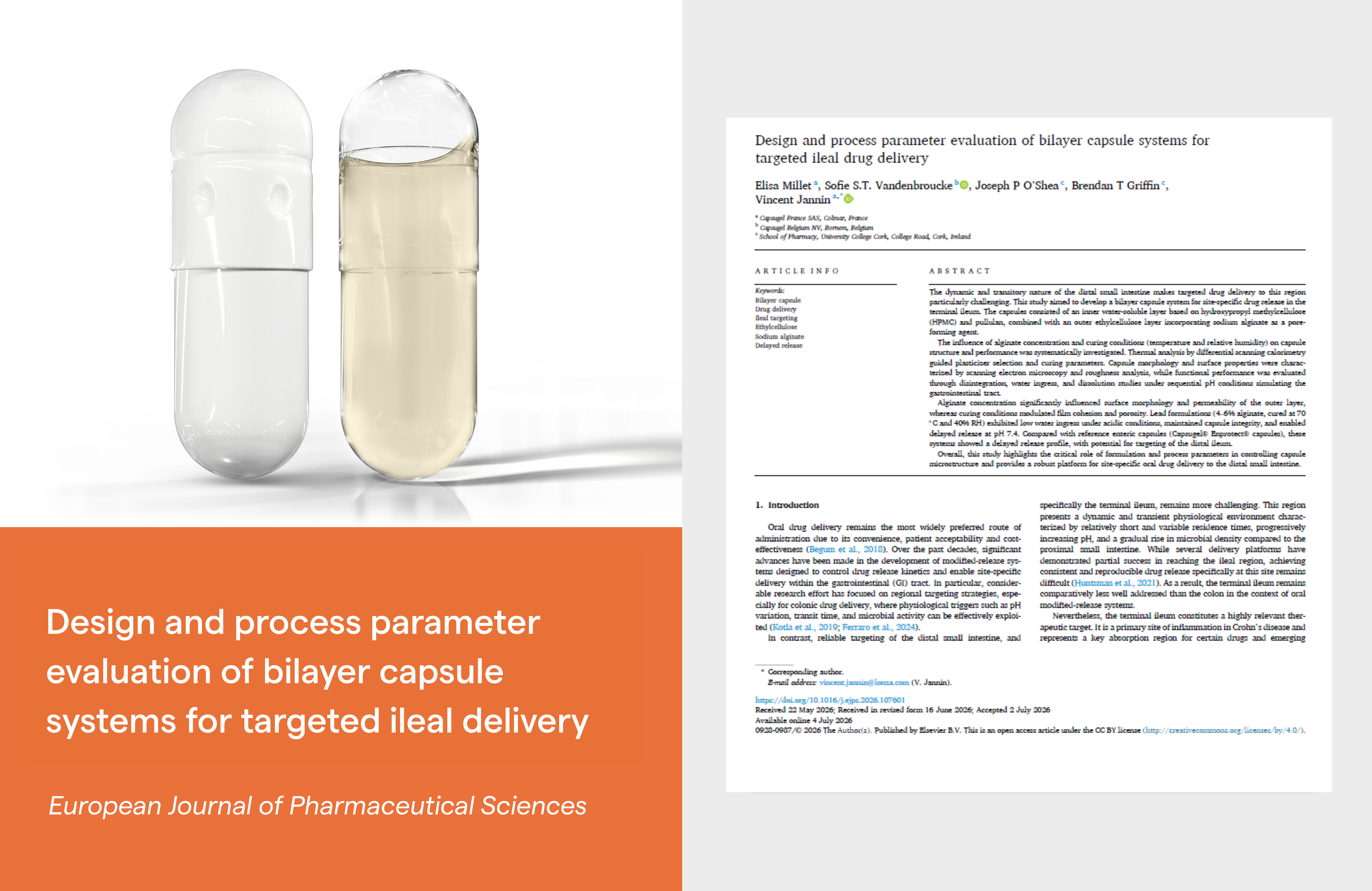 Design_and_process_parameter_evaluation_of_bilayer_capsule_systems_for_targeted_ileal_delivery_1_1.png