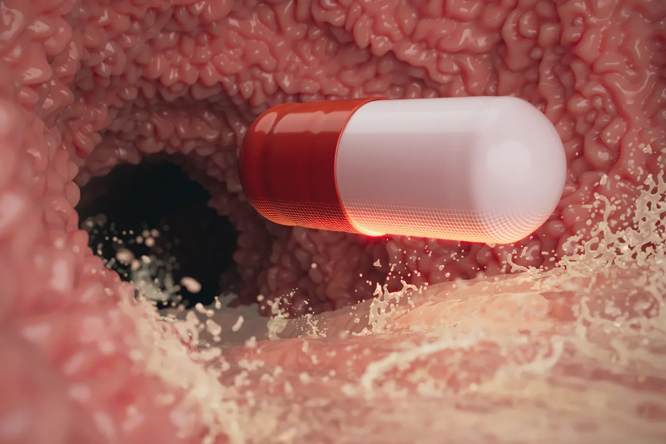 Enprotect 4K intestine